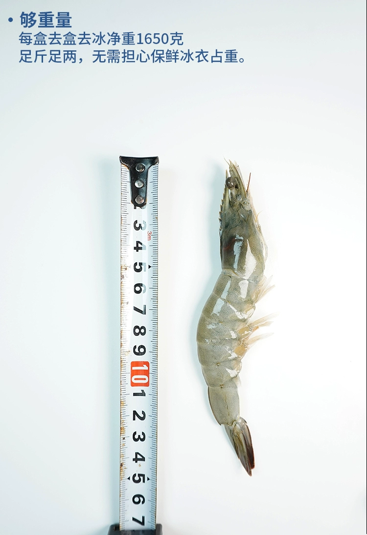 碧海农夫 超大瑟兰王南美虾鲜活速冻大虾 4斤/盒（净重1650g） 99元包邮 值值值-买手聚集的地方