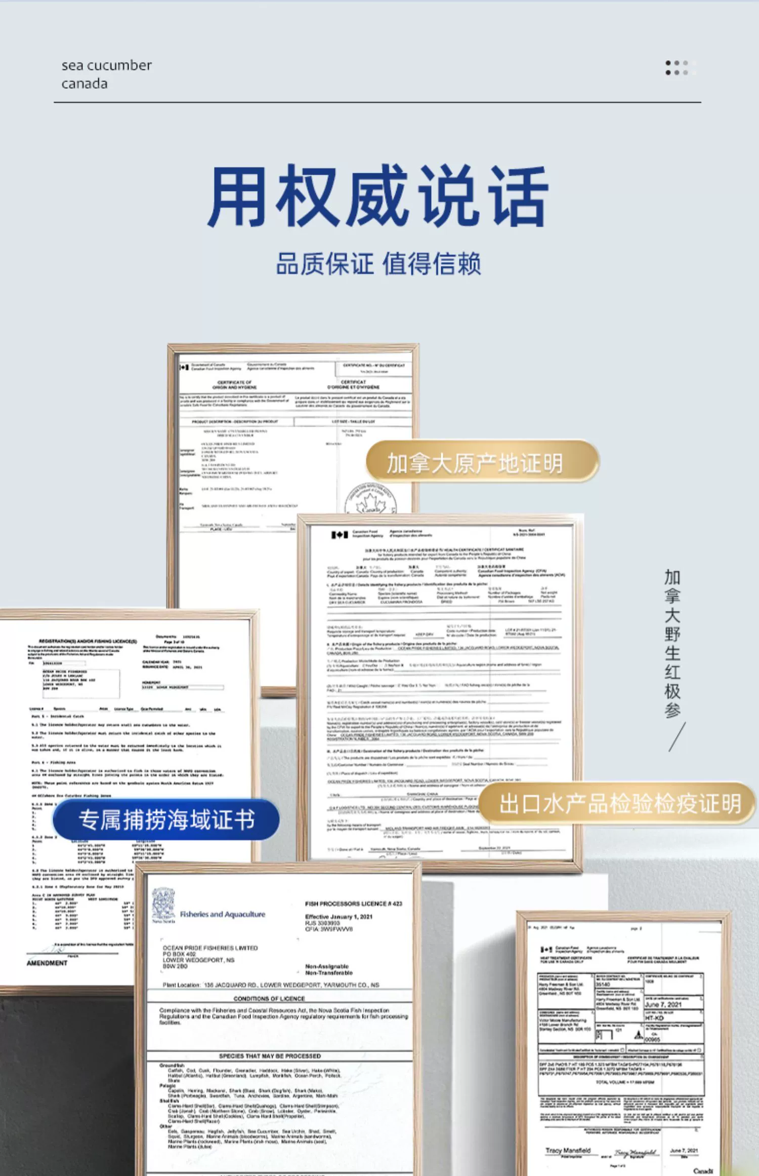 欧参力得 加拿大进口 OPF野生淡干北极海参18g（2-3只试吃装） 24.9元包邮 值值值-买手聚集的地方
