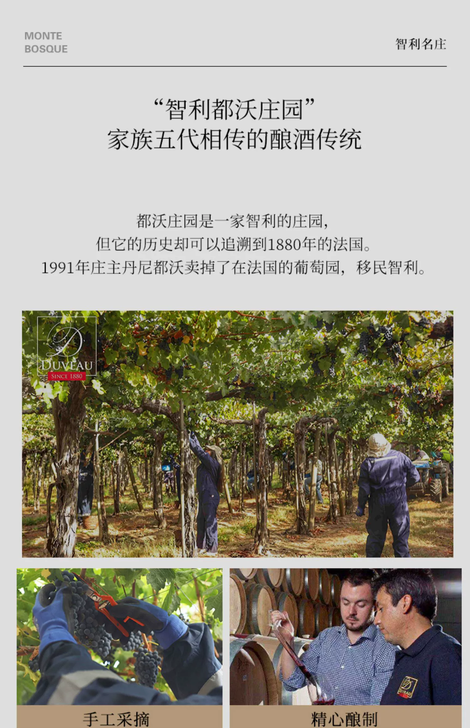 智利原瓶进口，Monte Bosque 蒙宝石 赤霞珠干红酒葡萄750mL 赠开瓶器 39元包邮 值值值-买手聚集的地方