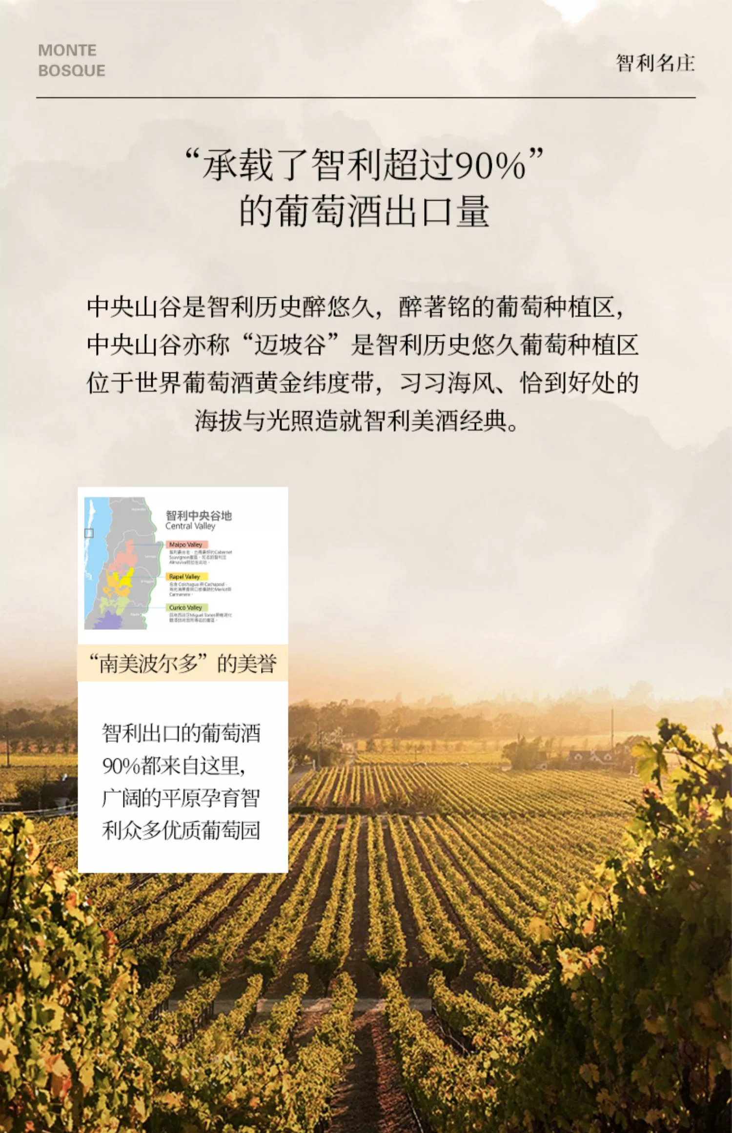 智利原瓶进口，Monte Bosque 蒙宝石 赤霞珠干红酒葡萄750mL 赠开瓶器 39元包邮 值值值-买手聚集的地方