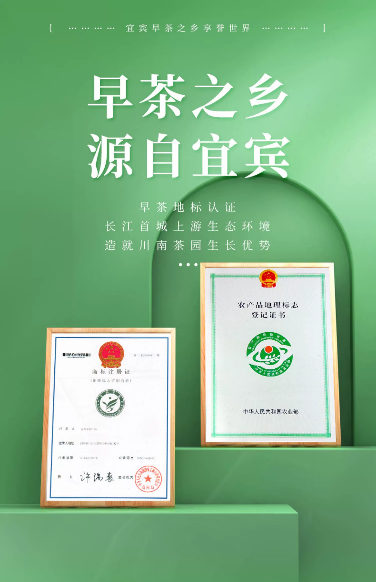 46年历史，林湖茶叶 明前特级高山雀舌100g*2盒 69元包邮 值值值-买手聚集的地方