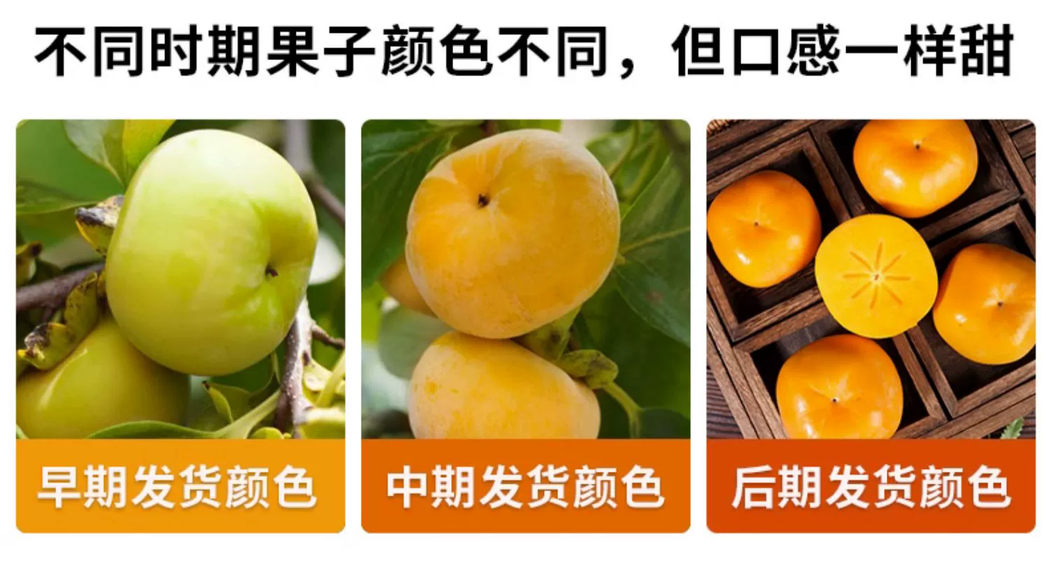 国家地理标志产品，瑶嘉宝 广西恭城高山现摘脆柿子 独立包装4.8斤 19.8元包邮 值值值-买手聚集的地方