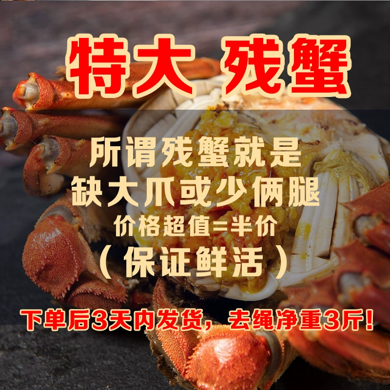 符威景 超大残蟹鲜活大闸蟹 去绳净重3斤（6~10只全公） 88元包邮 值值值-买手聚集的地方