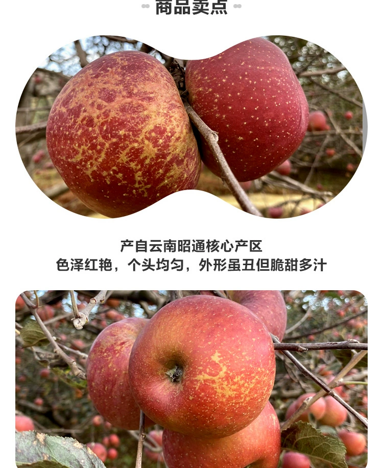 誉福园 昭通冰糖心丑苹果 3斤起（60mm起~90mm） 14.6元起包邮 值值值-买手聚集的地方