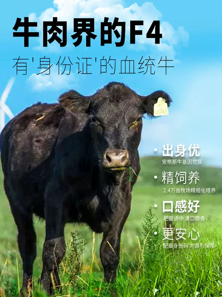 2022奥运会官方赞助商，顺鑫鑫源 安格斯原切牛肉饼 100g*10片 新低65.8元包邮 值值值-买手聚集的地方
