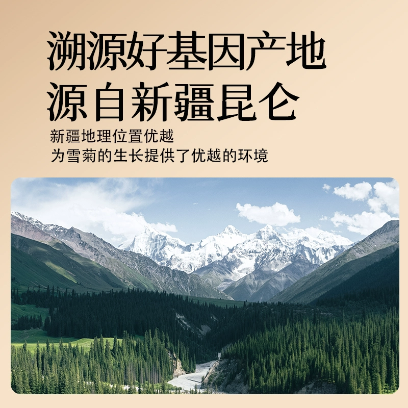 仁和 昆仑雪菊 50g/罐 9.9元包邮 值值值-买手聚集的地方