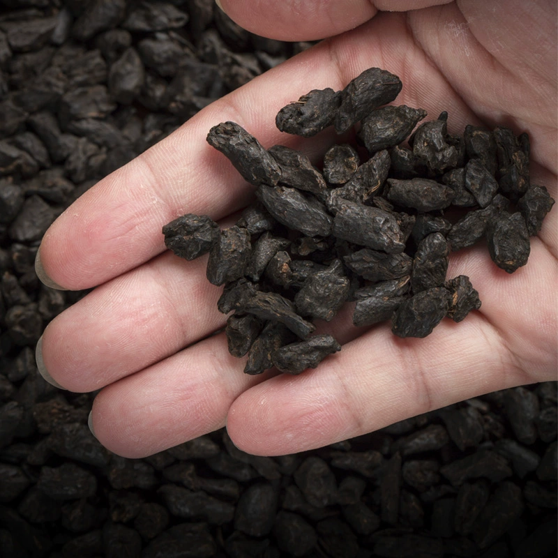 大宝山名 茶化石碎银子普洱茶礼盒 450g 78元包邮 值值值-买手聚集的地方