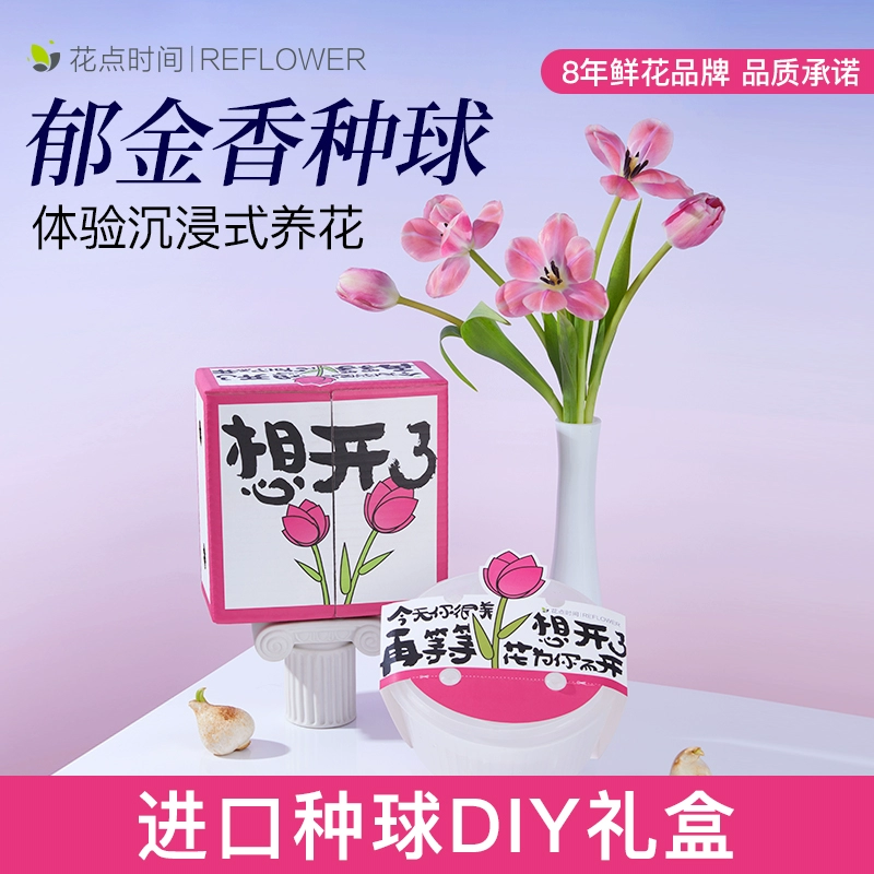 花点时间 郁金香种球鲜花种子进口种球DIY礼盒（5颗单瓣种球） 39.9元包邮 值值值-买手聚集的地方