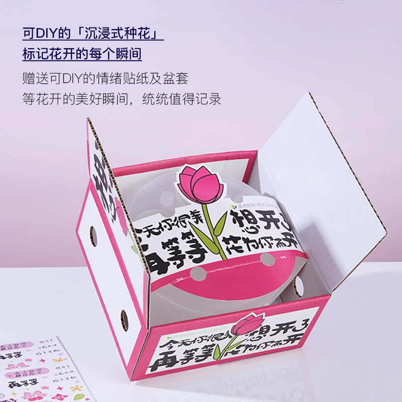 花点时间 郁金香种球鲜花种子进口种球DIY礼盒（5颗单瓣种球） 39.9元包邮 值值值-买手聚集的地方