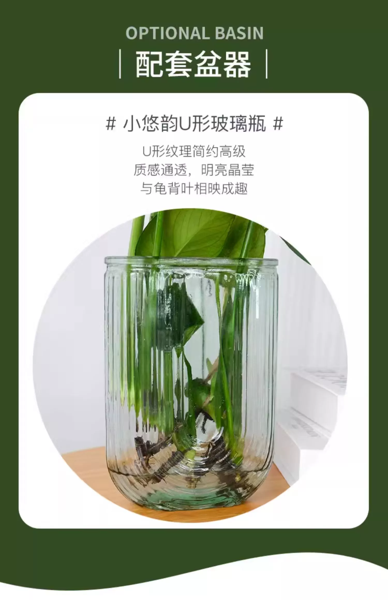 花点时间 夏天绿植水培天堂鸟/南天竹 2枝装 送花瓶+营养液 29.9元包邮 值值值-买手聚集的地方