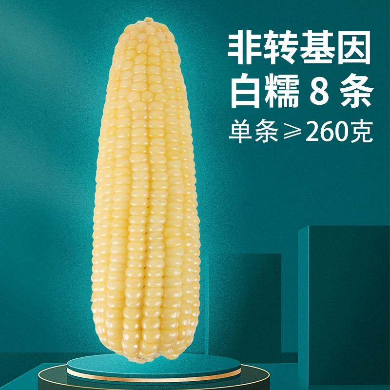 农交会金奖，禾久 非转基因鲜食白糯玉米 260g*8根 29.9元包邮 值值值-买手聚集的地方
