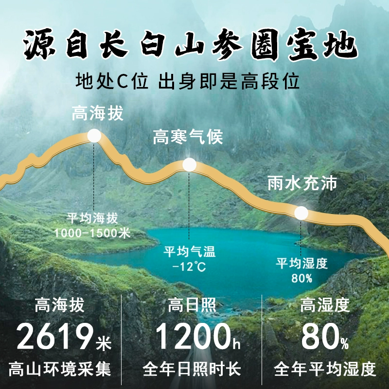 雪域仙芝 长白山人参生晒参礼盒 20g*4盒 拍4件96元包邮 值值值-买手聚集的地方