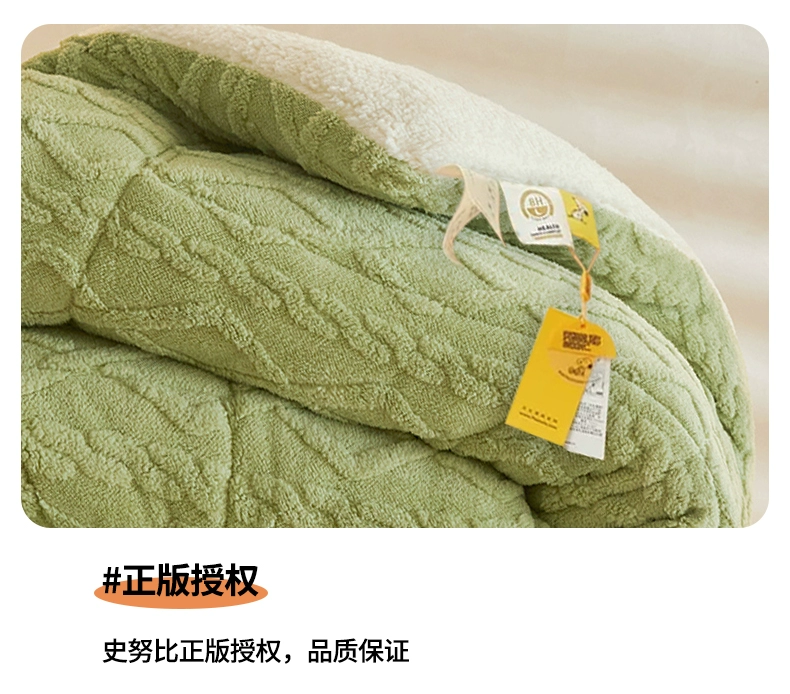 Snoopy史努比 2023新款塔芙绒羊羔绒 春秋被/秋冬被 3斤~10斤 多规格 新低45.9元起包邮 值值值-买手聚集的地方