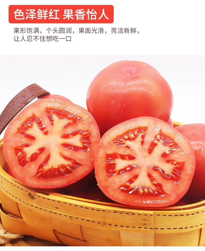 绿行者旗下，哪咤豆豆 普罗旺斯沙瓤西红柿番茄 5斤 18.92元包邮（双重优惠） 值值值-买手聚集的地方