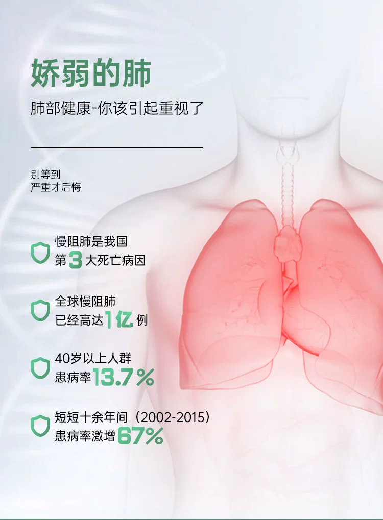 加拿大原装进口 Nordivik 北维克 肺动能肺部保养片 90片 39元包邮包税（需领券） 值值值-买手聚集的地方