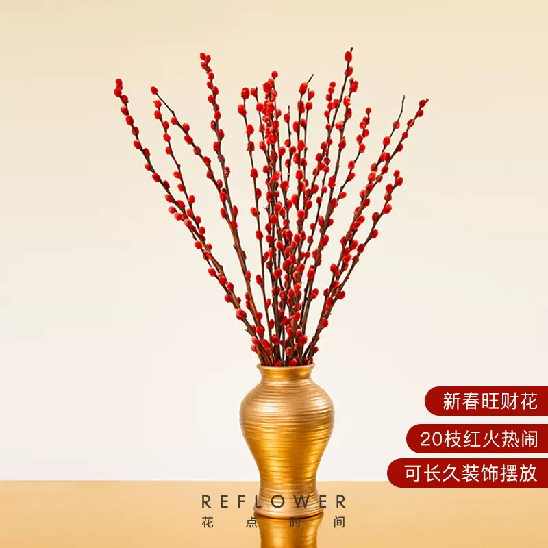 花点时间 2024银柳新年宵装饰（20支60cm） 19.9元包邮 值值值-买手聚集的地方