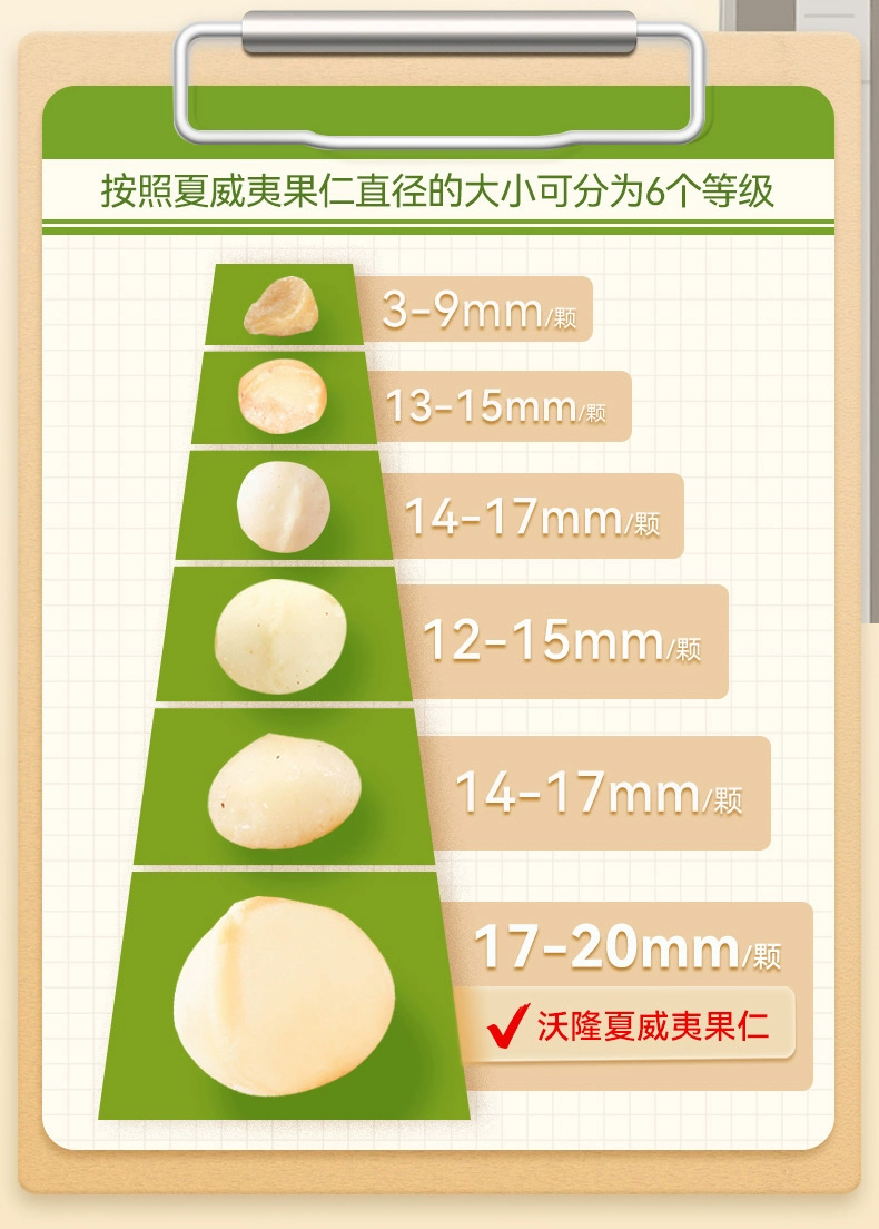 沃隆 原味整颗夏威夷果仁 500g 99元包邮 值值值-买手聚集的地方