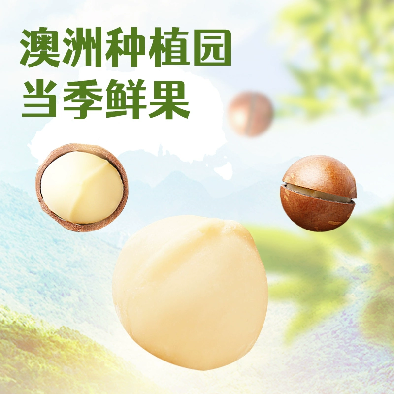 沃隆 原味整颗夏威夷果仁 500g 99元包邮 值值值-买手聚集的地方