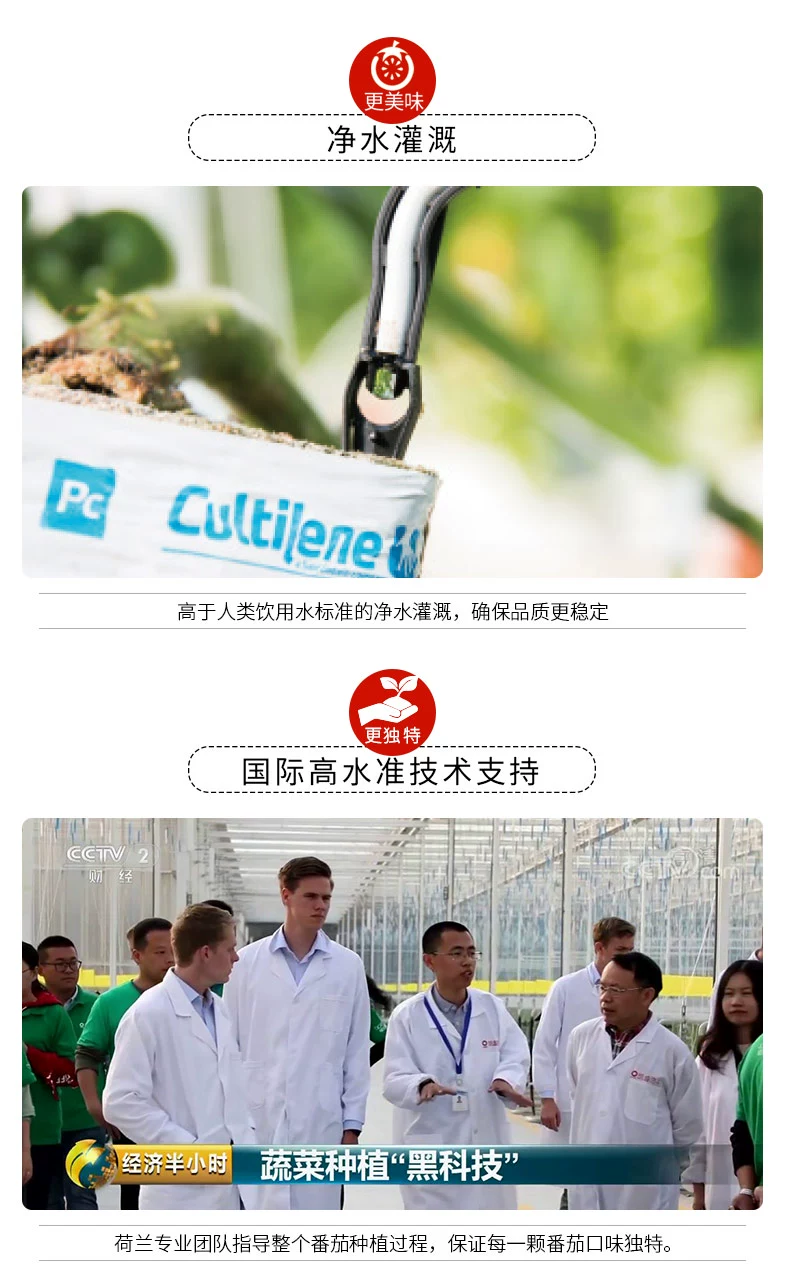 北京奥运会食材供应商，绿行者 桃太郎小粉番茄新鲜西红柿5斤 29.9元包邮（需领券） 值值值-买手聚集的地方