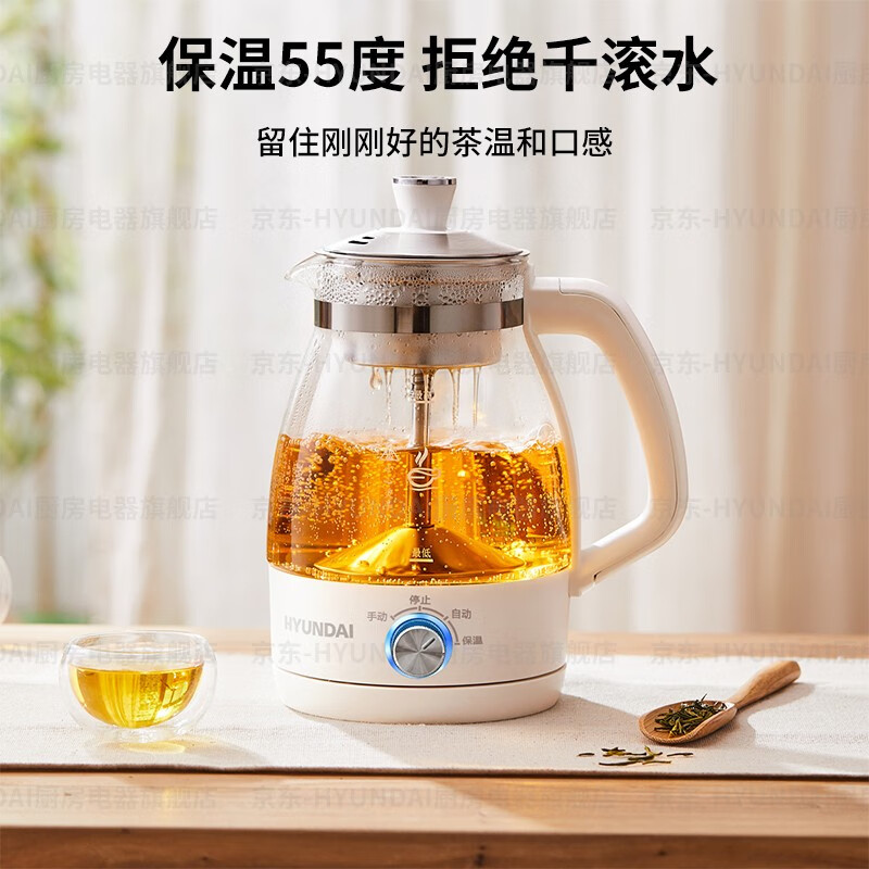 Hyundai 现代 QC-ZC1017 多功能煮茶器/养生壶1L 配不锈钢滤网 69元包邮 值值值-买手聚集的地方