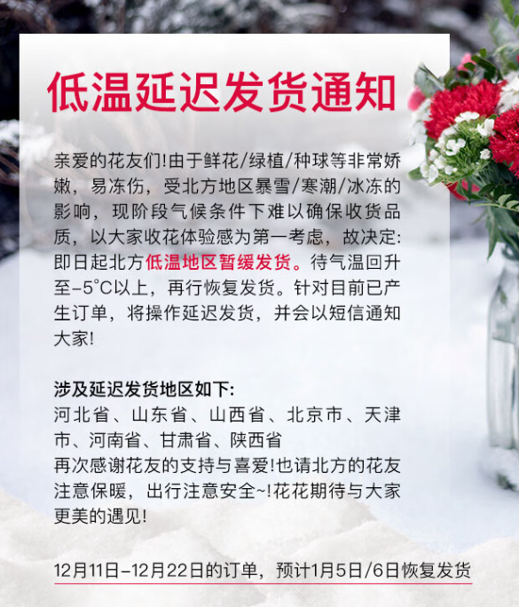 REFLOWER 花点时间 单头康乃馨 10枝鲜花 19.9元包邮 值值值-买手聚集的地方