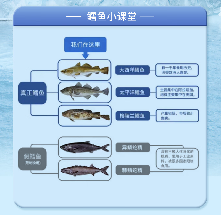 京东自营，星河湾 海鲜年货礼盒卡券 净重10斤真鳕鱼 185.6元包邮（需领券） 值值值-买手聚集的地方