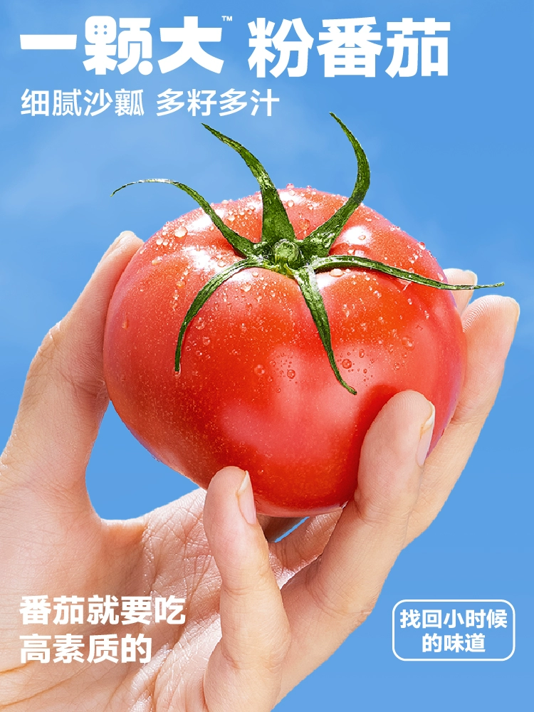 一颗大 粉番茄西红柿礼盒装 550g*4盒*3件 84.76包邮（7.06元/盒） 值值值-买手聚集的地方