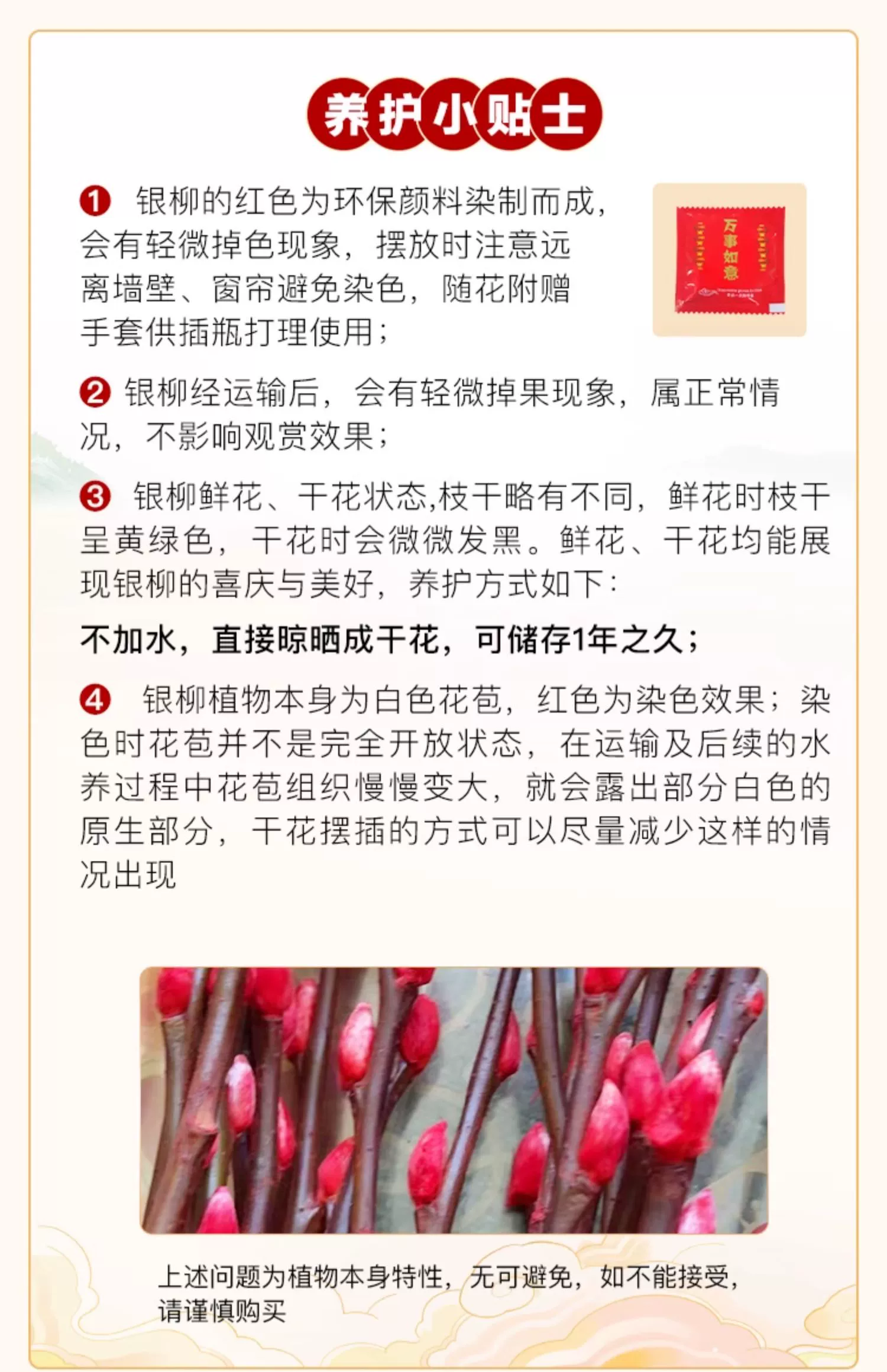 花点时间 2024银柳20支 19.9元包邮（需领券） 值值值-买手聚集的地方