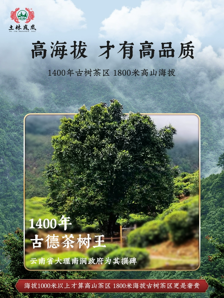 云南省重点龙头企业，土林凤凰 神农御品 8503高山普洱生茶饼礼盒装 300g 88元包邮 值值值-买手聚集的地方