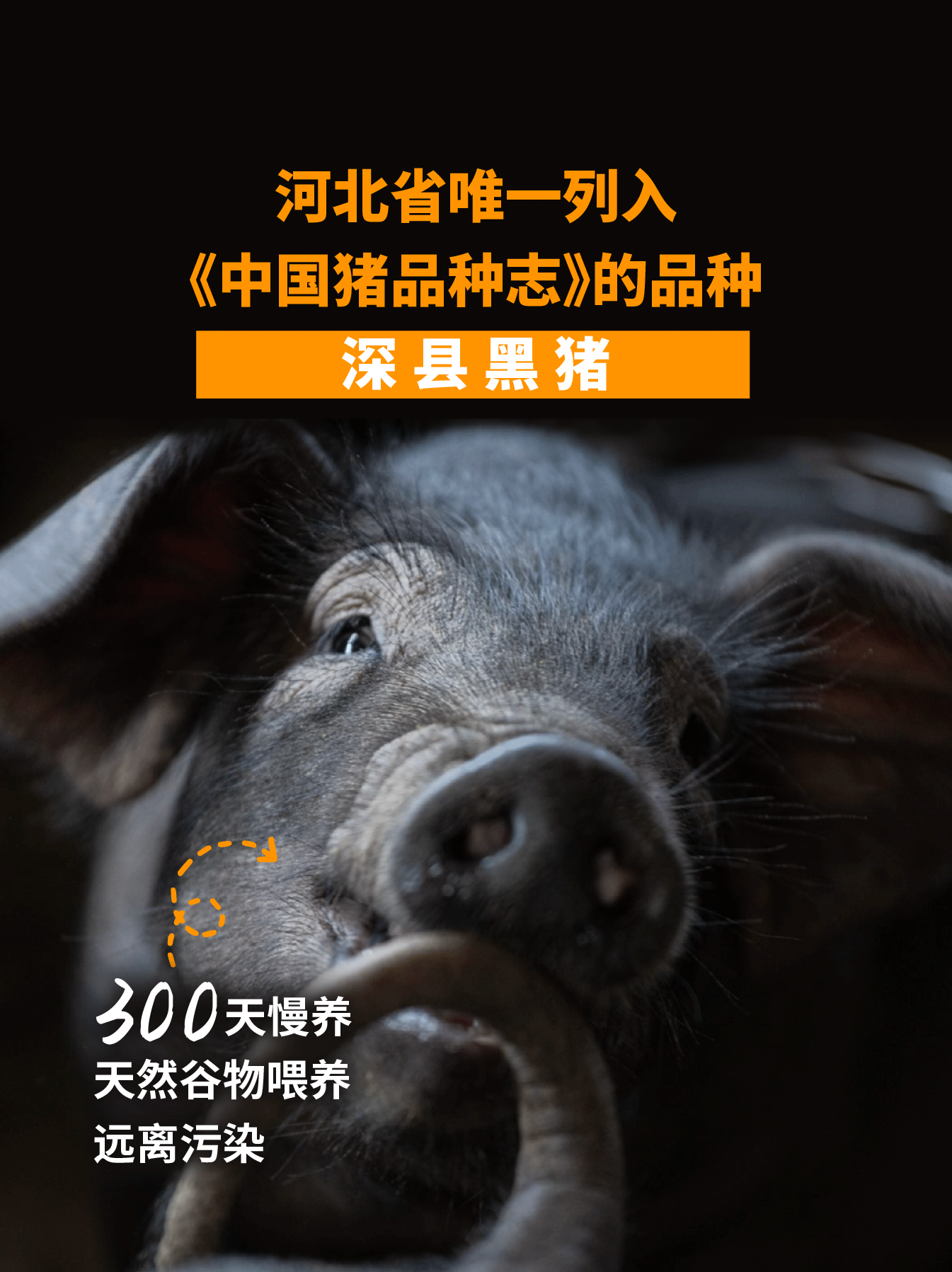 味满分 黑猪猪油 300g*2瓶 27.9元包邮 值值值-买手聚集的地方