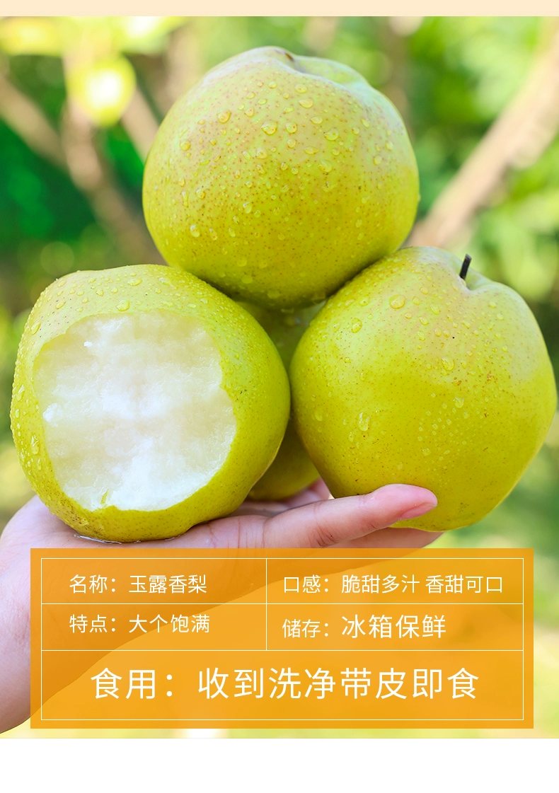 帮农日记 山西玉露香梨整箱5斤（净重4.5斤） 32.8元包邮 值值值-买手聚集的地方