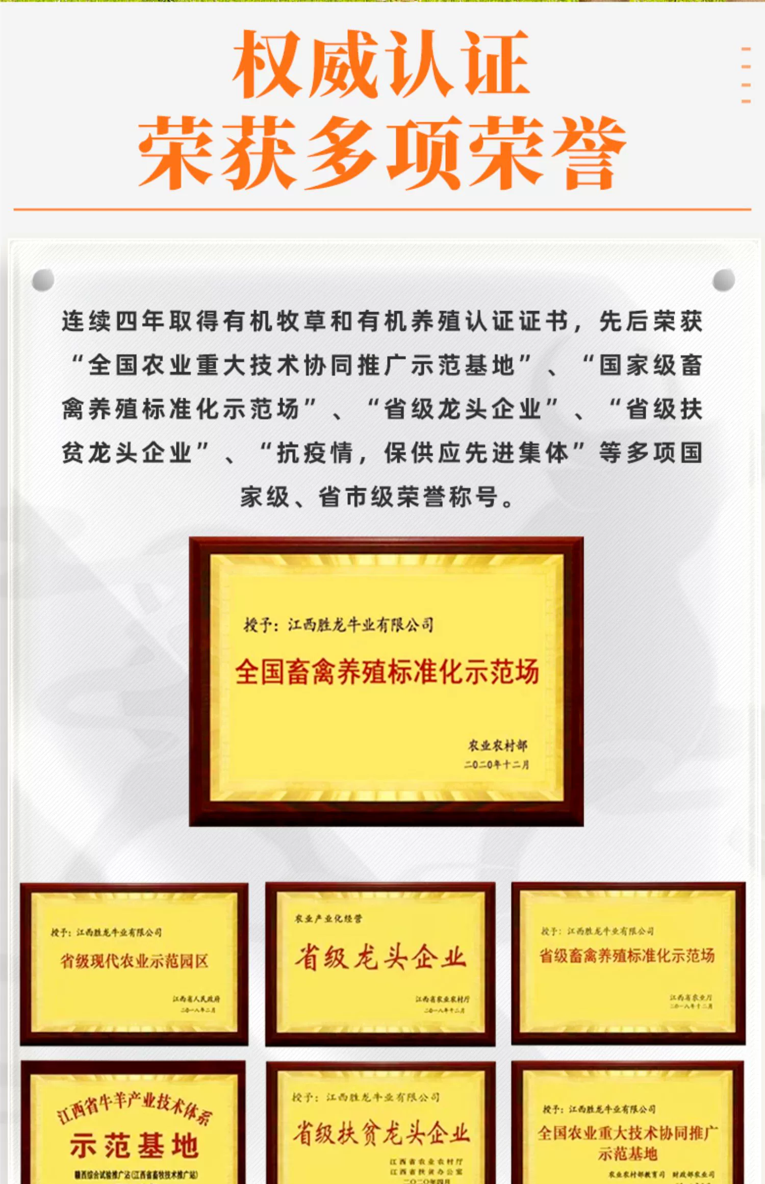 产自自家牧场，胜龙 精装牛仔骨 600g*2件 59.9元包邮 值值值-买手聚集的地方