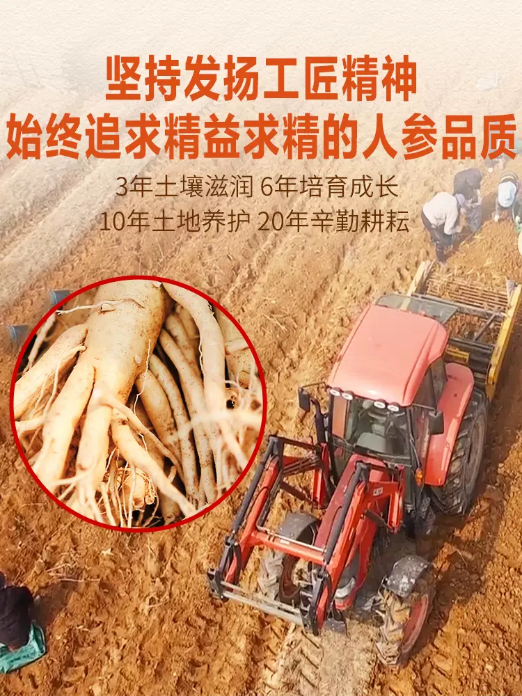 华韩药业 正日花旗 加拿大进口西洋参 10g(5g*2盒装) 5.9元包邮 值值值-买手聚集的地方