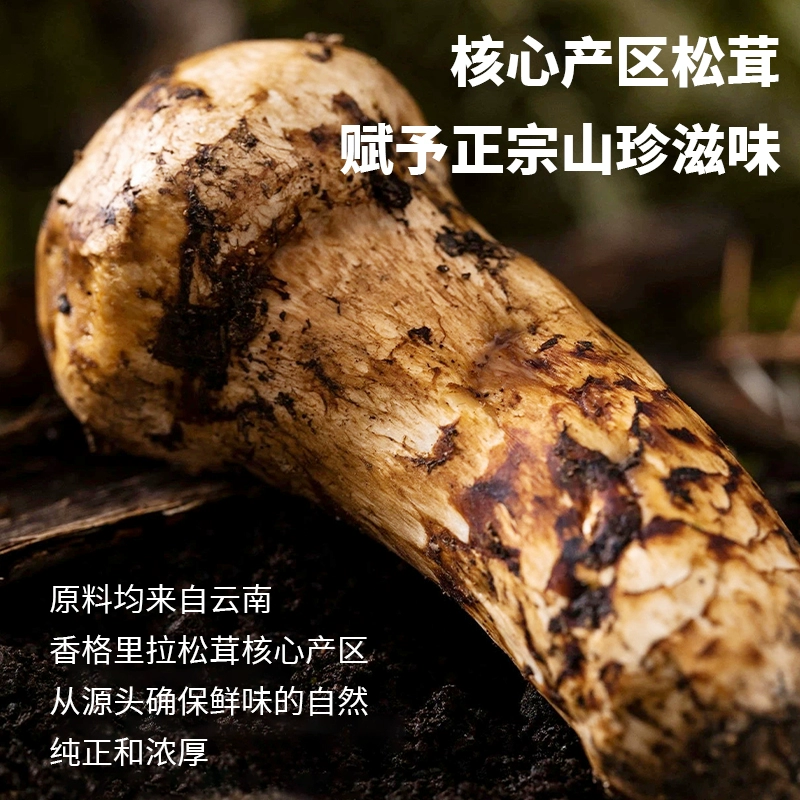 南派酱宗，致美斋 原味鲜松茸 100g 6.9元包邮 值值值-买手聚集的地方
