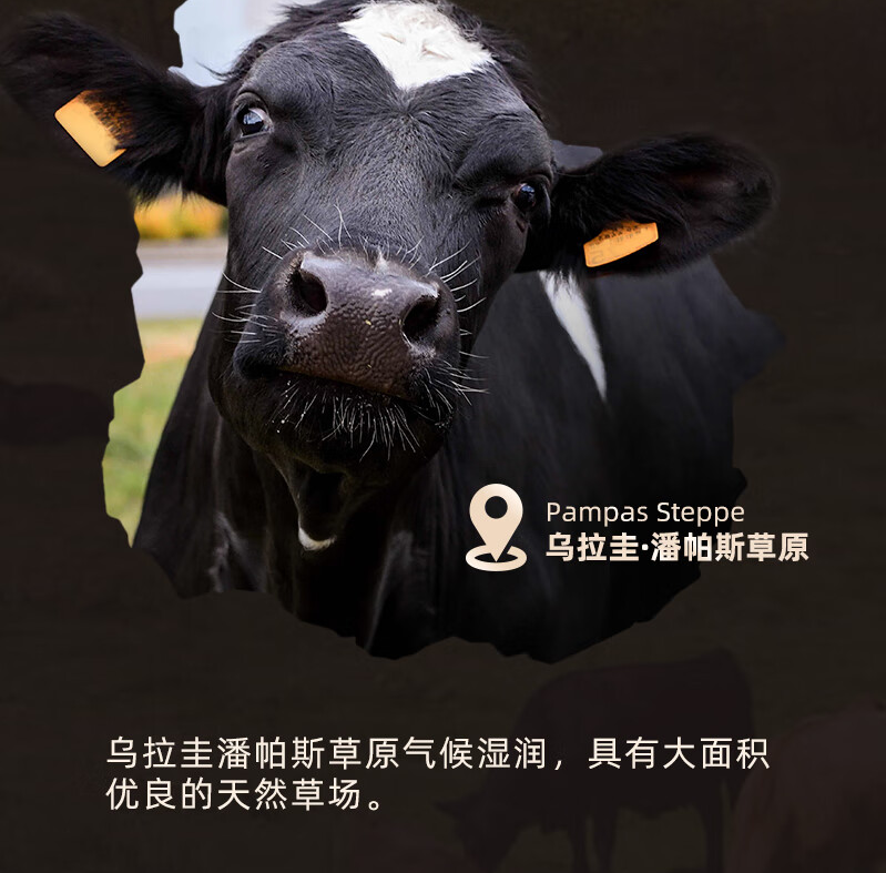 青草家 乌拉圭进口 原切带骨牛排块5斤 赠牛杂250g 149元顺丰包邮 值值值-买手聚集的地方