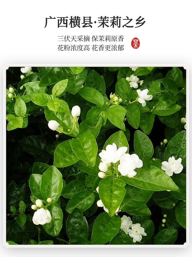 虎标 京味茉莉花茶清香型 100g 36.7元包邮 值值值-买手聚集的地方