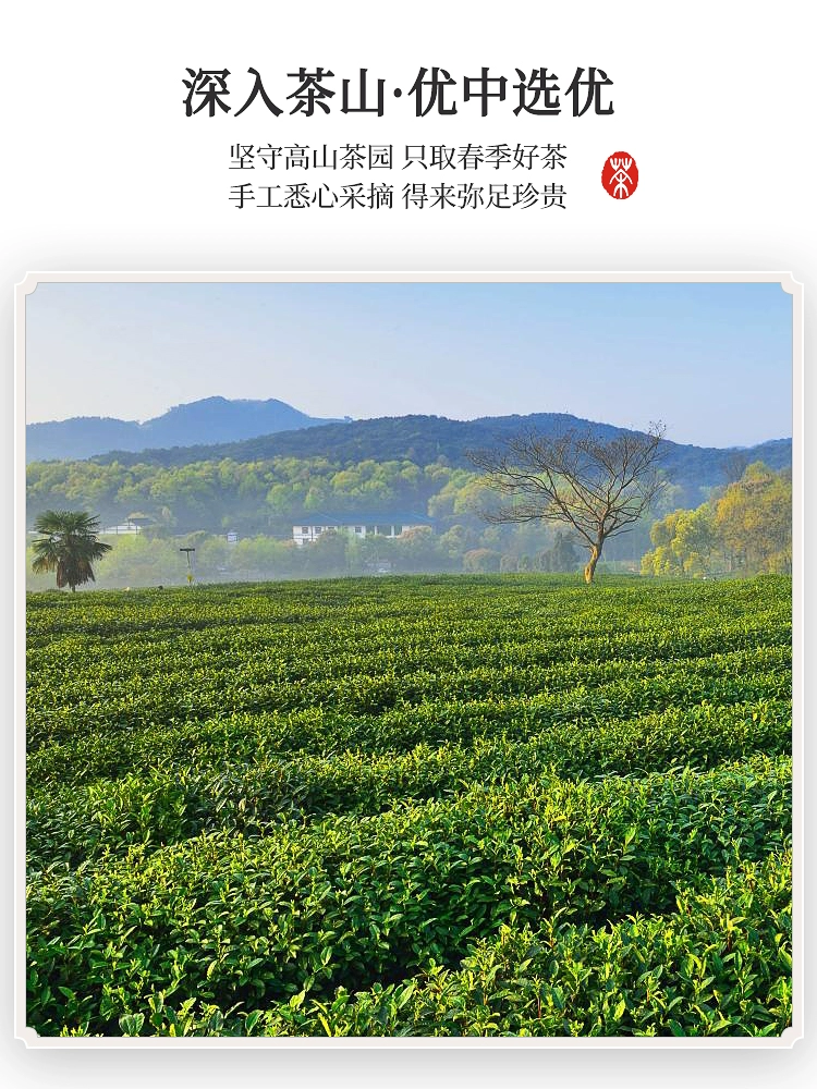 虎标 京味茉莉花茶清香型 100g 36.7元包邮 值值值-买手聚集的地方