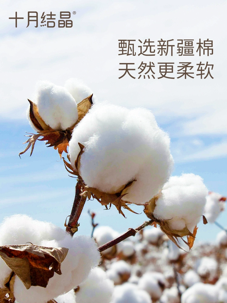 十月结晶 女士EO消毒级一次性纯棉内裤 5条 13.9元包邮 值值值-买手聚集的地方