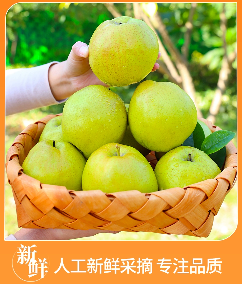 帮农日记 山西玉露香梨整箱5斤（净重4.5斤） 新低29.9元包邮 值值值-买手聚集的地方