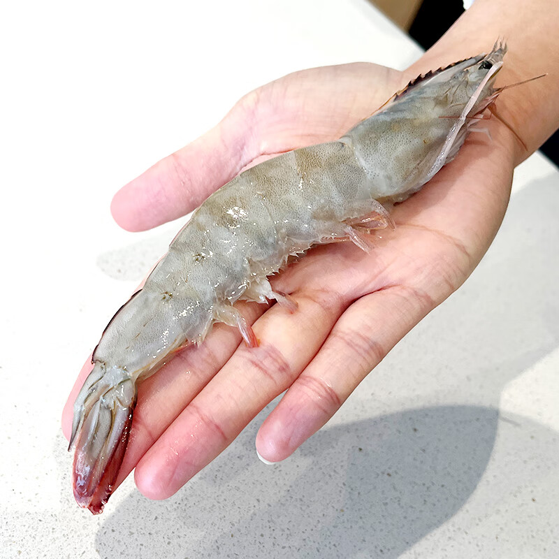鲜京采 厄瓜多尔白虾1.5kg/盒 特大号20-30规格 新低69.9元包邮 值值值-买手聚集的地方