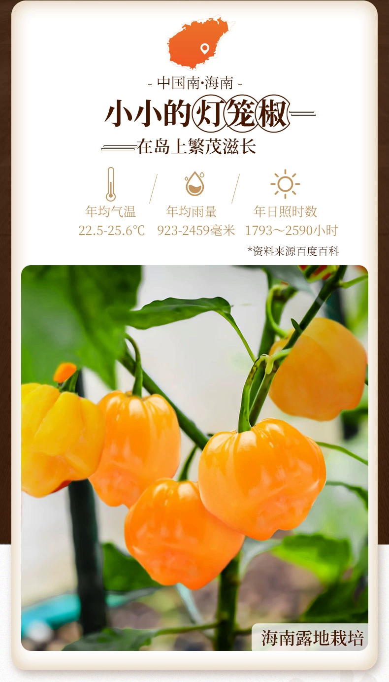 海南特产，南国 黄灯笼辣椒酱135g*3瓶 12.82元包邮 值值值-买手聚集的地方