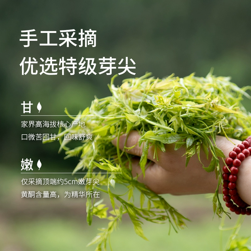 禾风知 张家界特级野生龙须芽尖莓茶 100g 58元包邮 值值值-买手聚集的地方