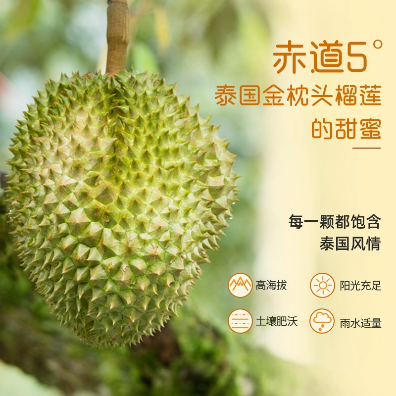 榴莲西施 榴莲软糖 108g*3袋 19.9元包邮 值值值-买手聚集的地方