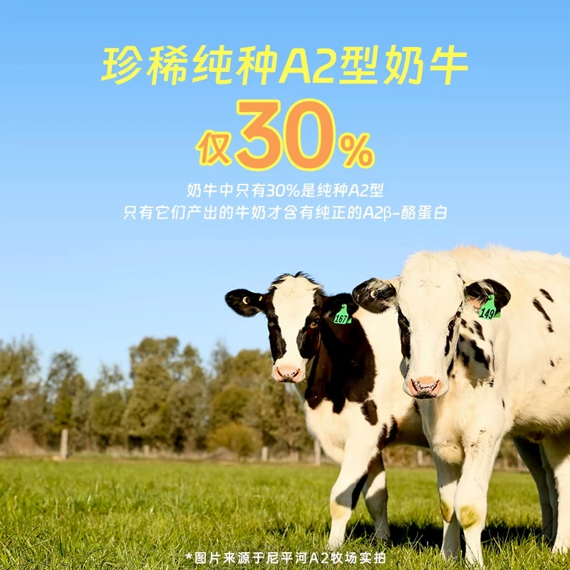 澳洲进口，尼平河 A2β-酪蛋白全脂纯牛奶 200ml*10盒*2件 49元包邮（24.5元/件） 值值值-买手聚集的地方