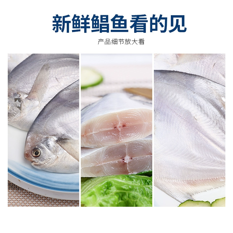 海洋演义 深海银鲳鱼 净重400g/包*10包 99元包邮（需领券） 值值值-买手聚集的地方