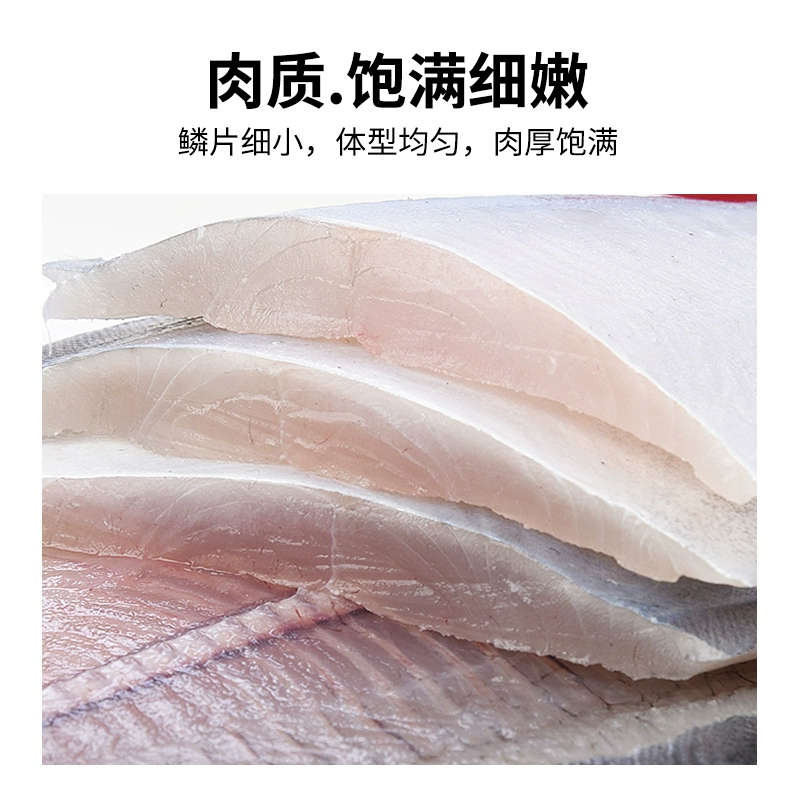 海洋演义 深海银鲳鱼 净重400g/包*10包 99元包邮（需领券） 值值值-买手聚集的地方