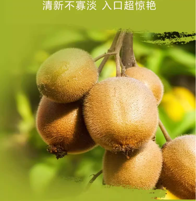 Dole 都乐 陕西哑特猕猴桃（单果130-200g）12个/2kg 29.9元包邮 值值值-买手聚集的地方