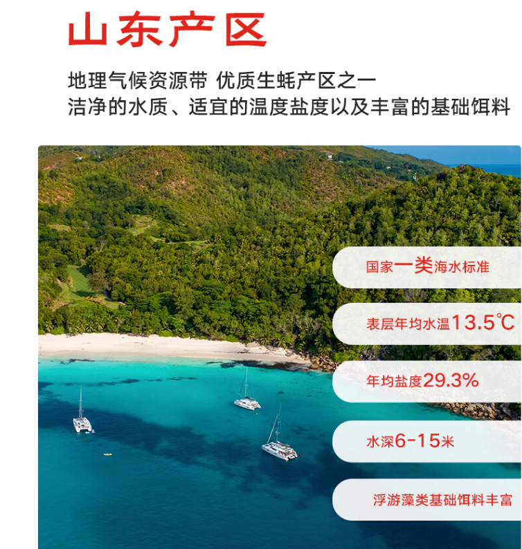 京鲜港 山东产鲜活生蚝 净重3斤（15-20只装/单只70g起） 19.9元包邮 值值值-买手聚集的地方