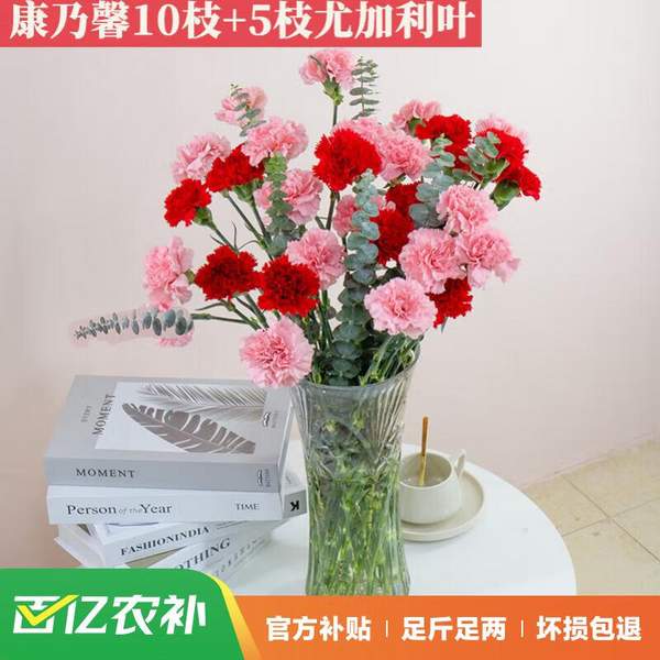 简势 鲜花康乃馨10枝+尤加利叶5枝 新低9.9元包邮 值值值-买手聚集的地方
