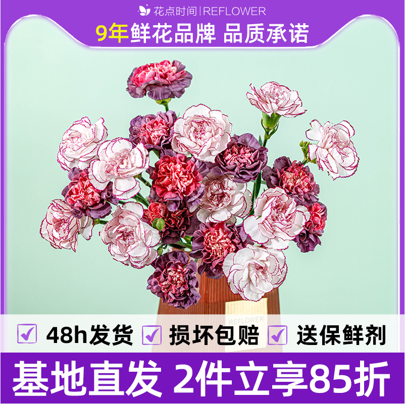 REFLOWER 花点时间 单头康乃馨20枝鲜花 赠保鲜剂 24.9元包邮（2件更低） 值值值-买手聚集的地方